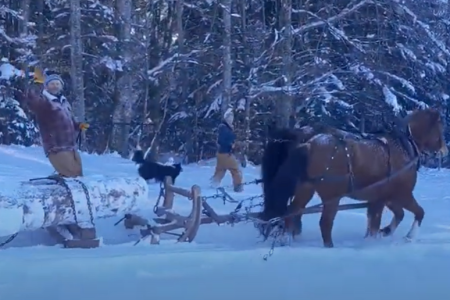 2025-11-25 14_03_39-Vidéo de l'album cabanes dormirailleurs.ch - Google Photos.png
