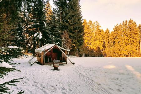 Petite cabane février.jpg