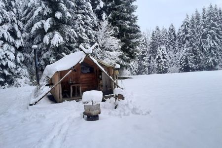 Petite cabane hiver 25.jpg
